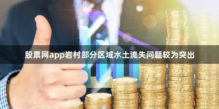 股票网app岩村部分区域水土流失问题较为突出