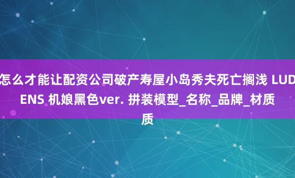 怎么才能让配资公司破产寿屋小岛秀夫死亡搁浅 LUDENS 机娘黑色ver. 拼装模型_名称_品牌_材质