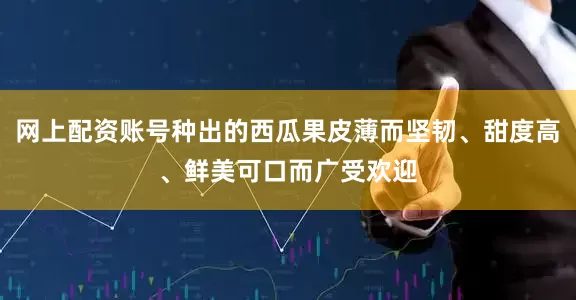 网上配资账号种出的西瓜果皮薄而坚韧、甜度高、鲜美可口而广受欢迎