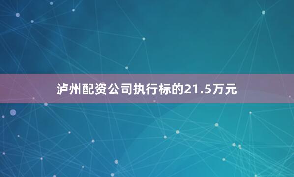 泸州配资公司执行标的21.5万元