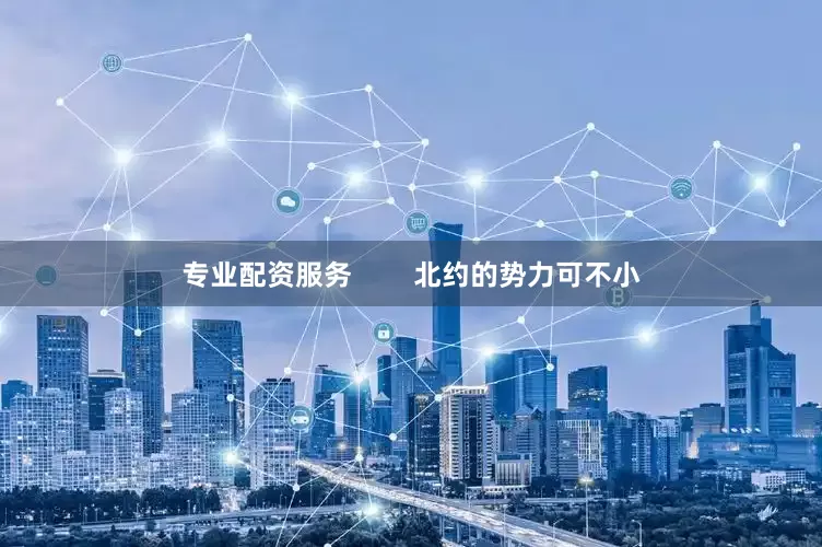 专业配资服务        北约的势力可不小