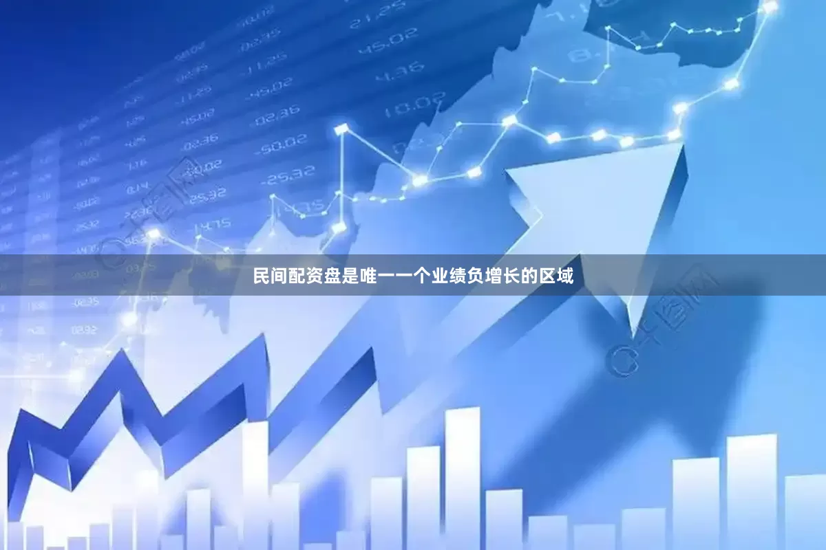民间配资盘是唯一一个业绩负增长的区域