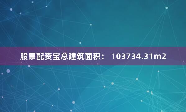 股票配资宝总建筑面积： 103734.31m2
