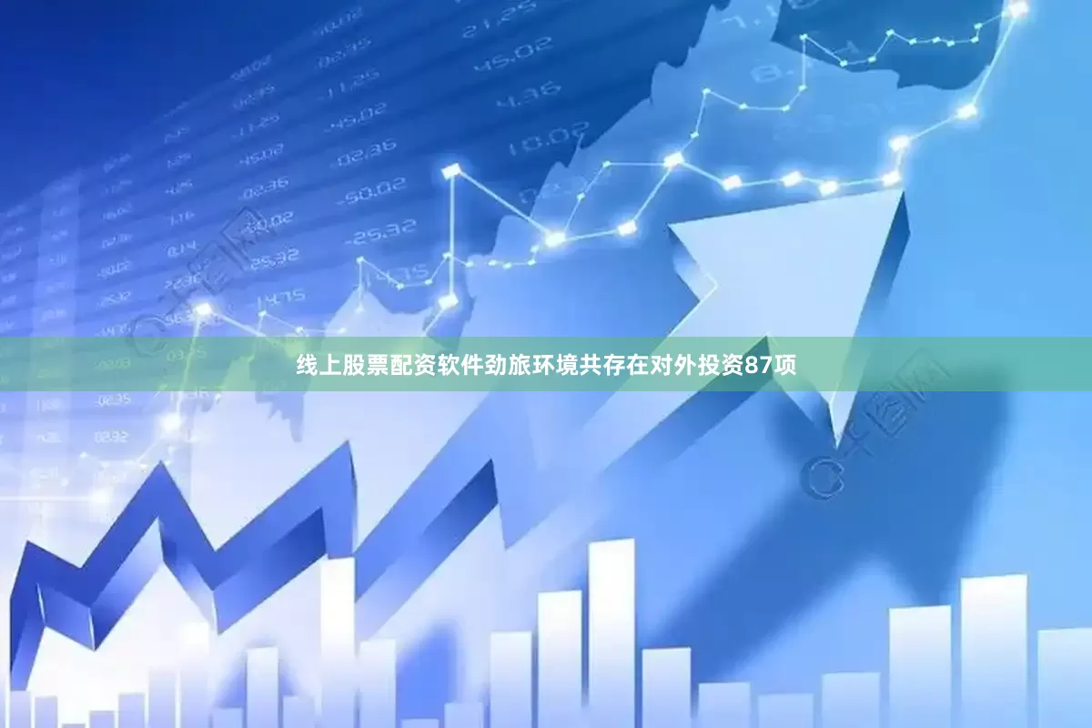 线上股票配资软件劲旅环境共存在对外投资87项