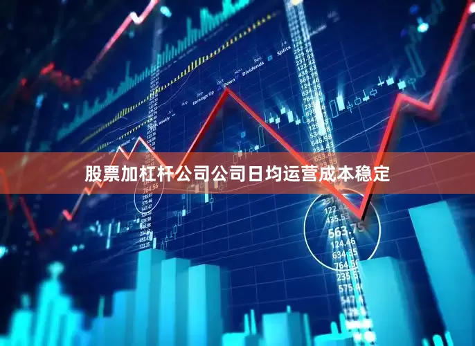 股票加杠杆公司公司日均运营成本稳定